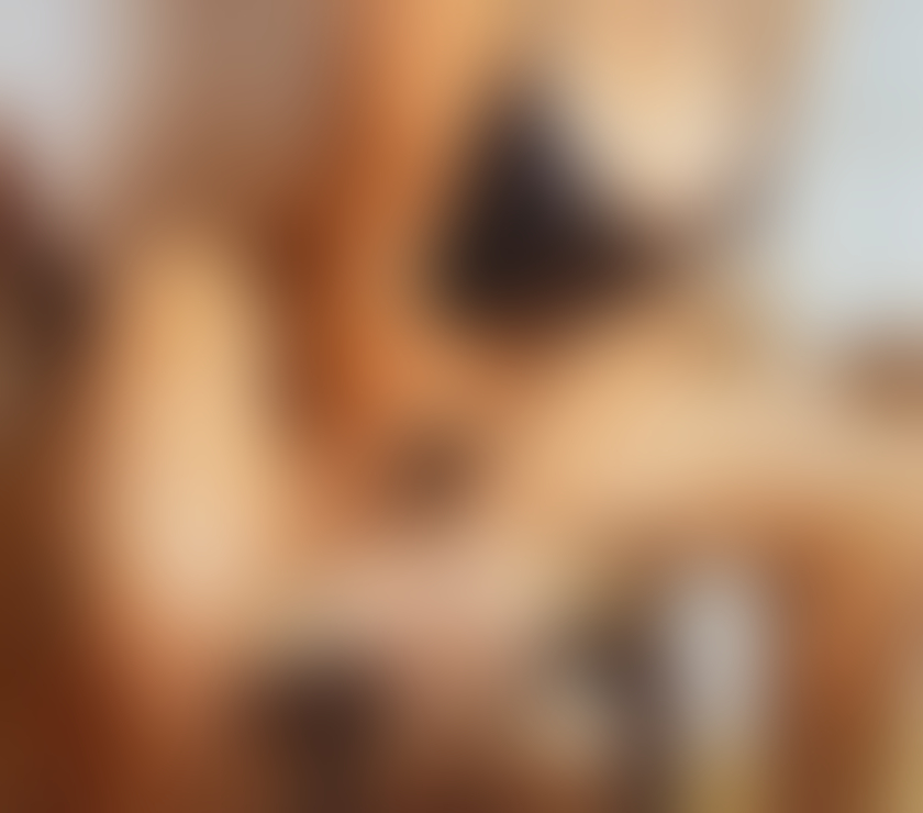 Escorts Tyne and Wear North Tyneside - Photos for 🥰🥰Rossa....new on Wallsend 🥰🥰